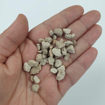 Bloom Texture  - Pumice Pebbles 100g