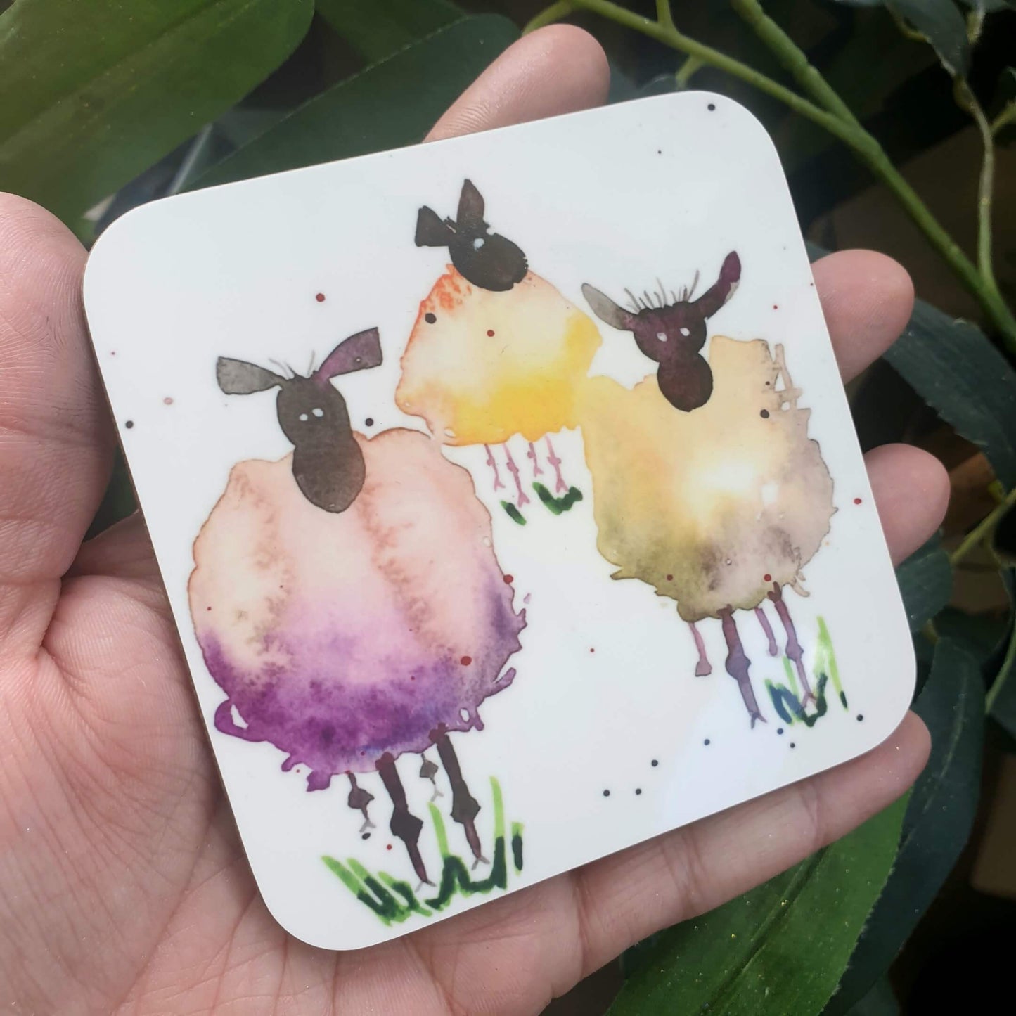 Cotswold Sheep, 'Sheepish Woolies!' - Watercolour Printed Hardwood Coasters 9cm Squared!