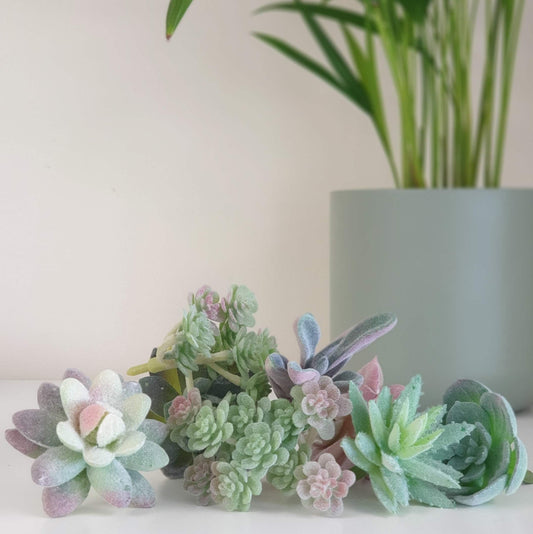 Faux Succulent: What the succulent - Hand Picked by Lou!