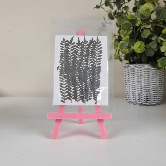 Blooming Pretty Pressed Flower Pack: Bramble Fern!